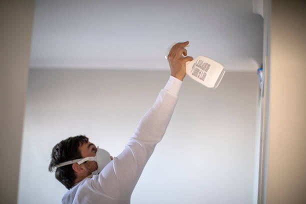 Best Emergency Mold Removal  in Milam, TX