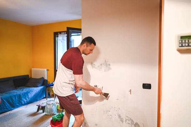 Best Black Mold Removal  in Milam, TX